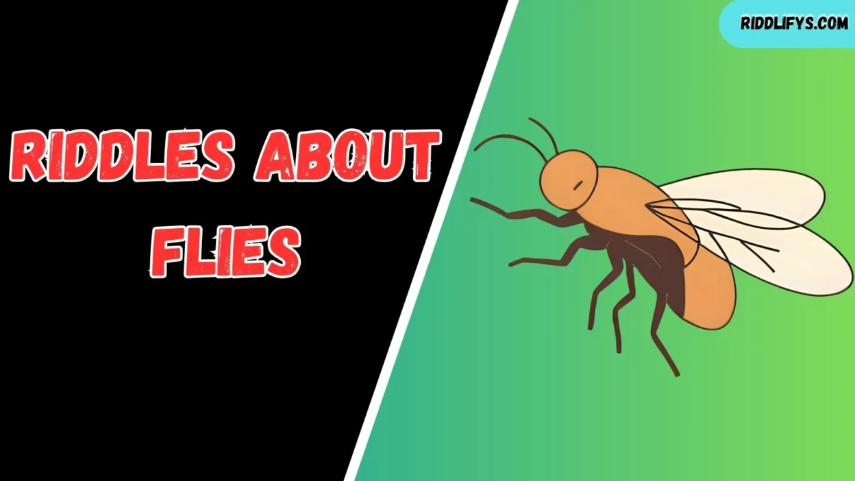 Riddles About Flies