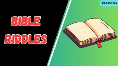 Bible Riddles