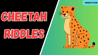 Cheetah Riddles
