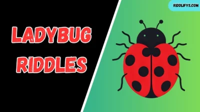 Ladybug Riddles