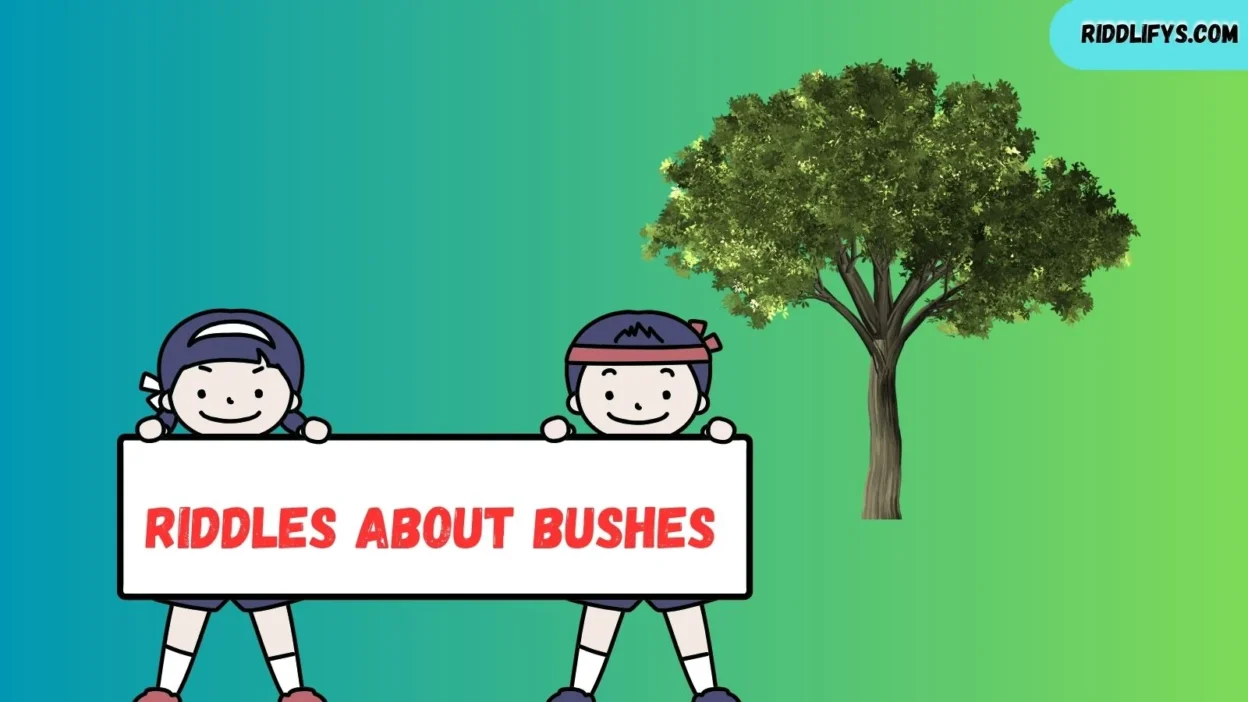 Riddles About Bushes