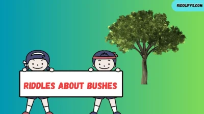Riddles About Bushes