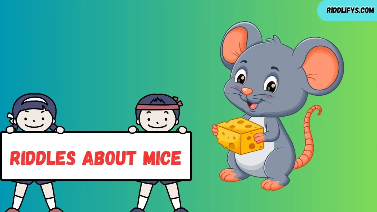 Riddles About Mice