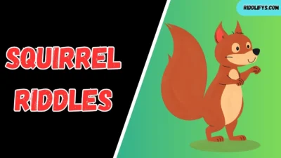 Squirrel Riddles