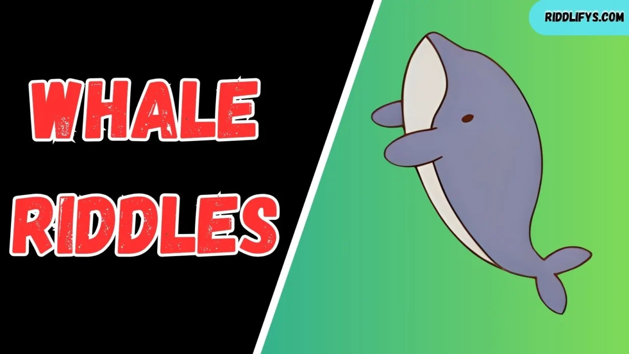 Whale Riddles