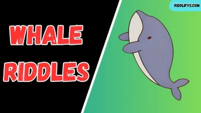 Whale Riddles
