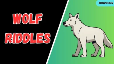 Wolf Riddles