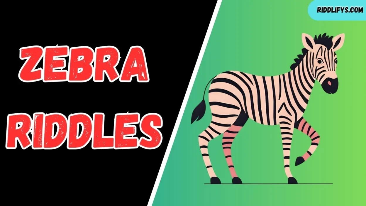 Zebra Riddles
