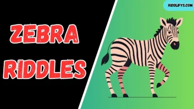 Zebra Riddles