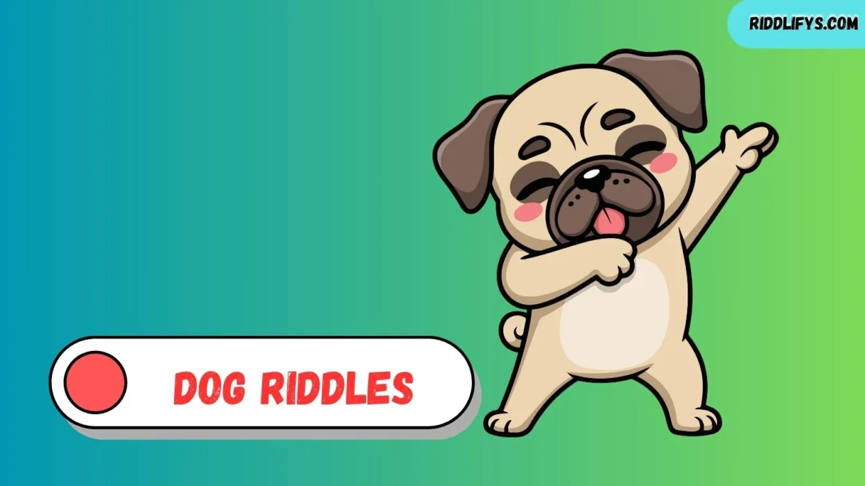 Dog Riddles