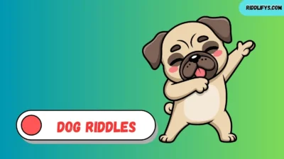 Dog Riddles