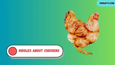 Riddles About Chickens