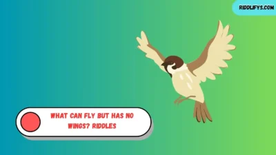 What Can Fly but Has No Wings? Riddles