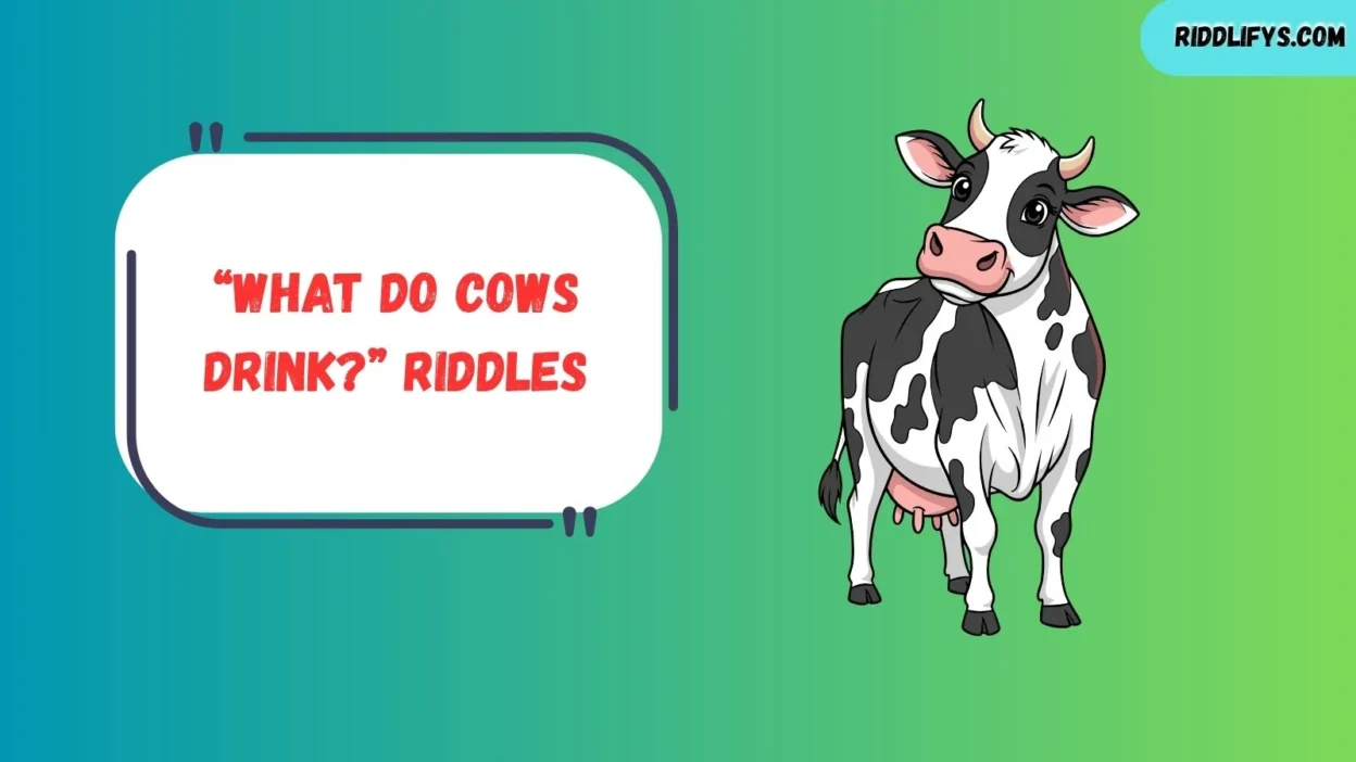 “What Do Cows Drink?” Riddles