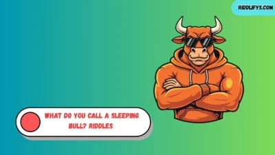 What Do You Call a Sleeping Bull? Riddles