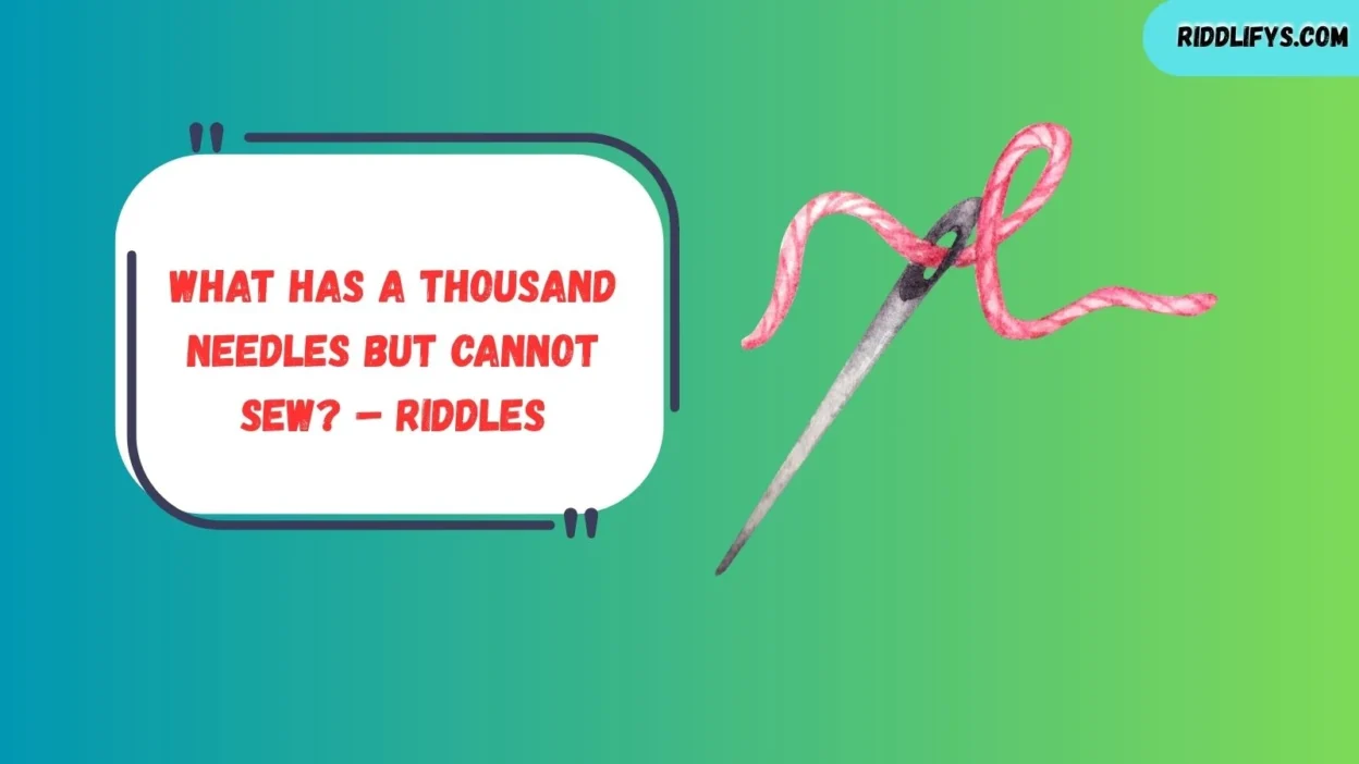 What Has a Thousand Needles But Cannot Sew? – Riddles
