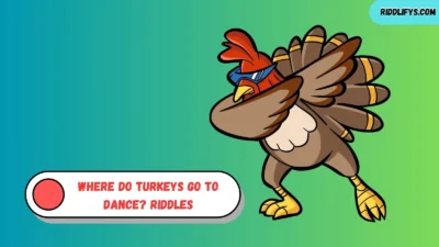 Where Do Turkeys Go to Dance? Riddles