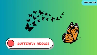Butterfly Riddles