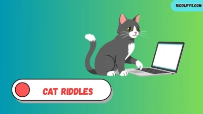 Cat Riddles