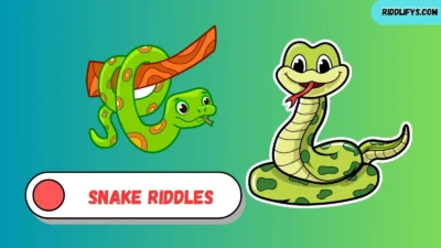 Snake Riddles